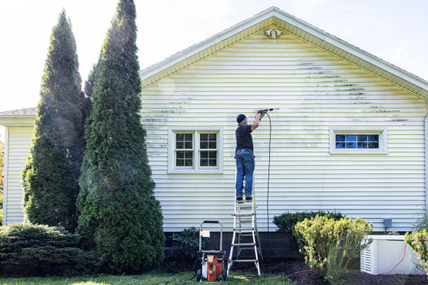 Best Local Pressure Washing Services  in Wyoming, DE