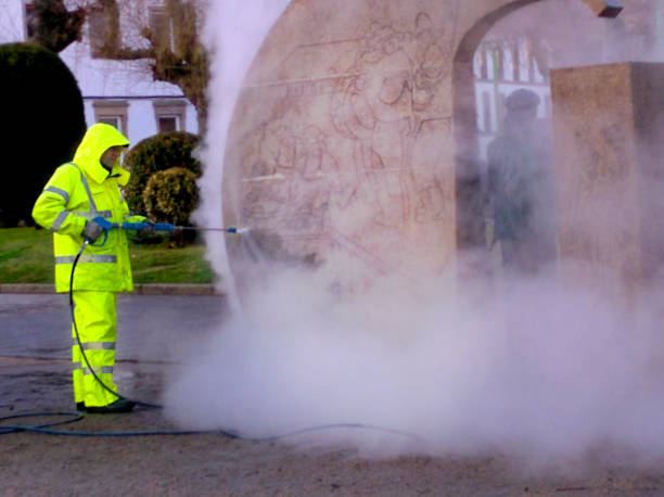Best House Pressure Washing  in Wyoming, DE
