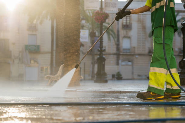 Best Roof Pressure Washing  in Wyoming, DE